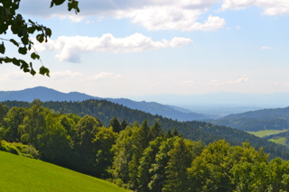 BLickpunkt Schwarzwald – 17
