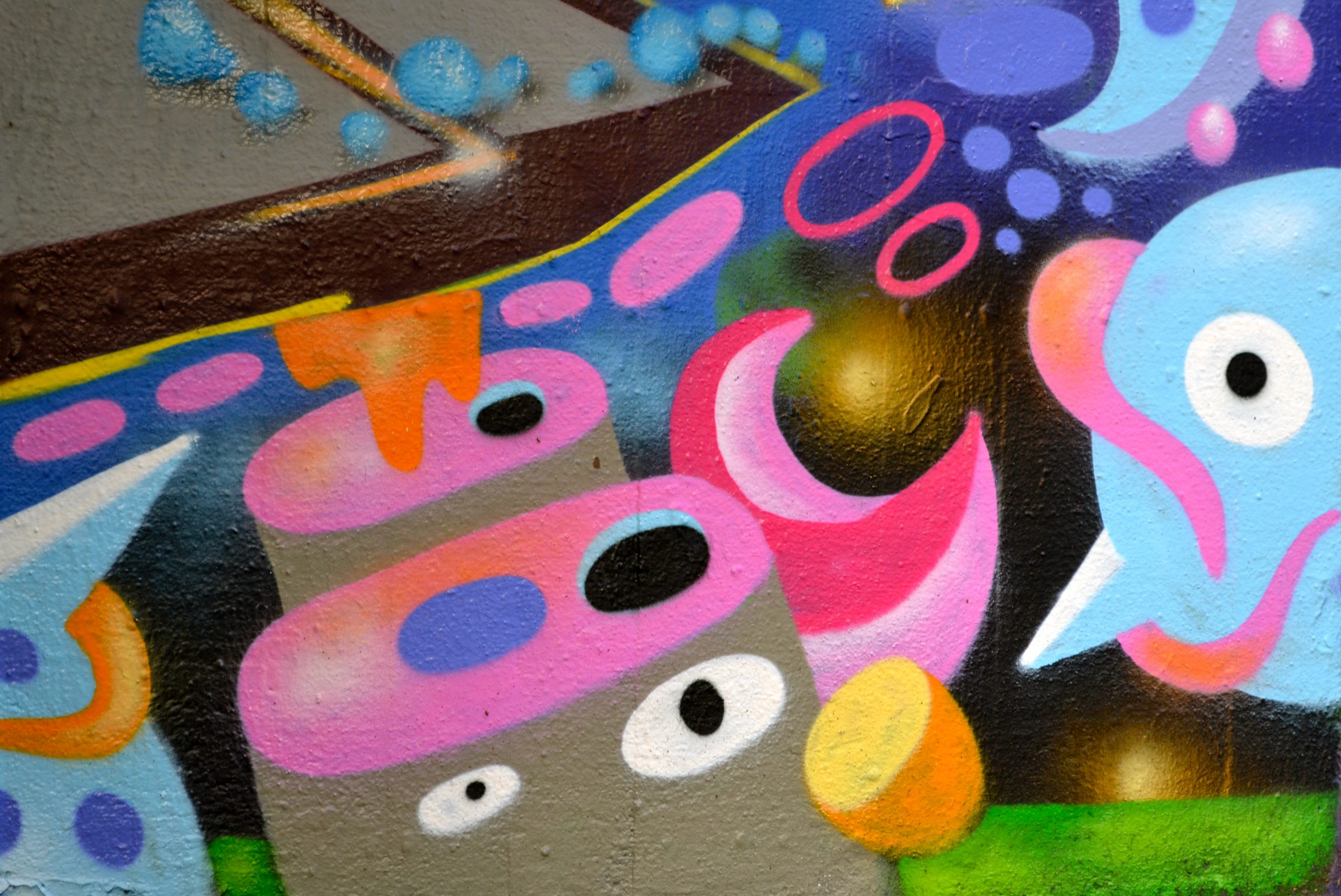 Freiburg für Schulklassen Blickpunkt Freiburg