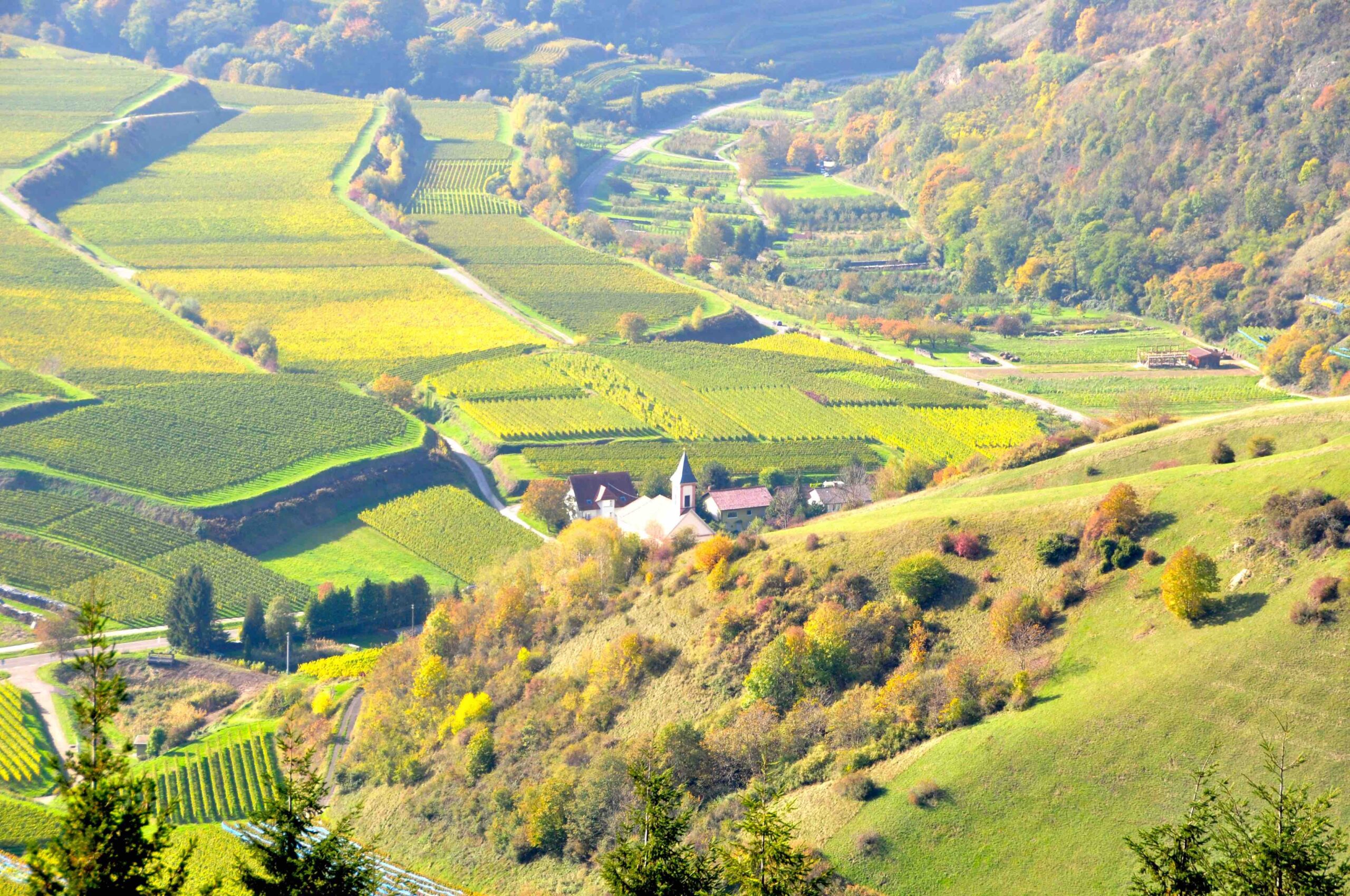 Innerer Kaiserstuhl - Touren in die Oberrheineben mit Blickpunkt Freiburg