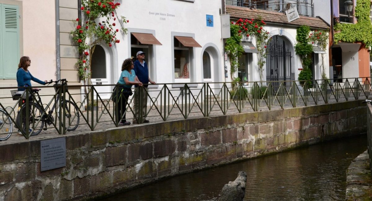 Krokodil im Gewerbekanal