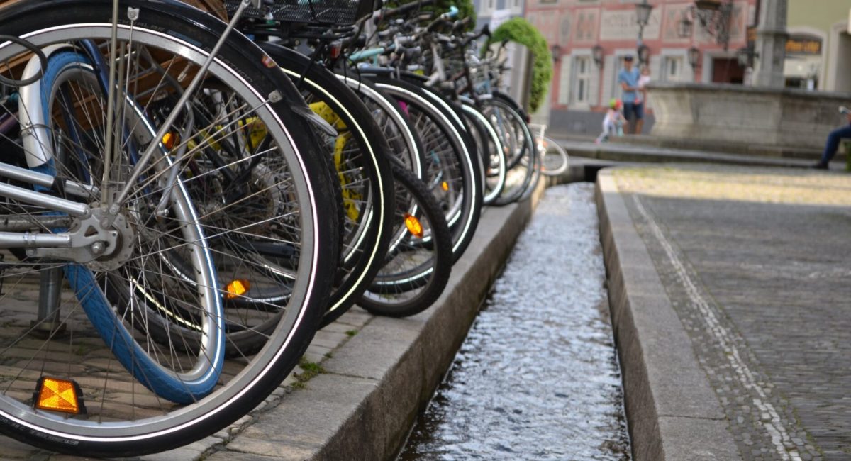 Stadtführung Freiburg für Eilige